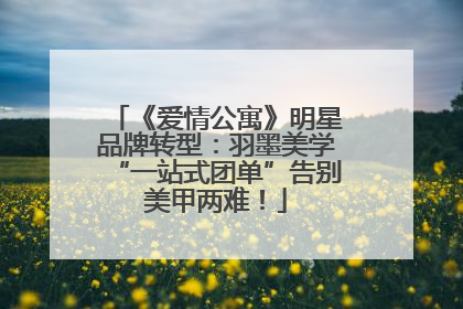 《爱情公寓》明星品牌转型：羽墨美学“一站式团单”告别美甲两难！