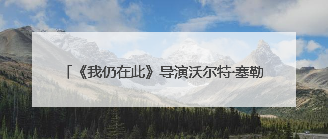《我仍在此》导演沃尔特·塞勒斯：我喜欢中国山水画的留白