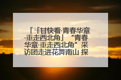 「甘快看·青春华章·重走西北角」“青春华章·重走西北角”采访团走进花舞南山 探寻天水乡村振兴之路