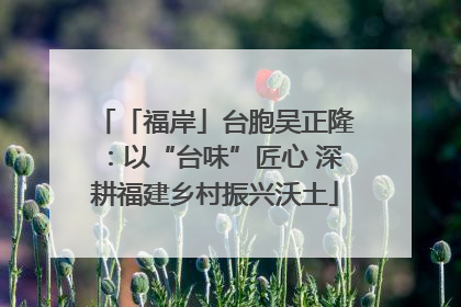 「福岸」台胞吴正隆：以“台味”匠心 深耕福建乡村振兴沃土