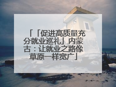 「促进高质量充分就业巡礼」内蒙古：让就业之路像草原一样宽广