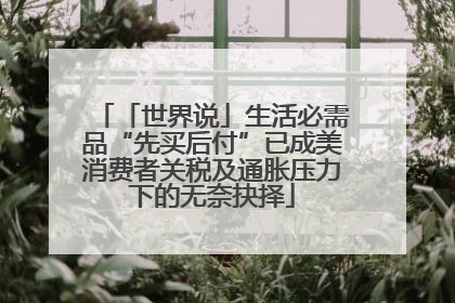 「世界说」生活必需品“先买后付”已成美消费者关税及通胀压力下的无奈抉择