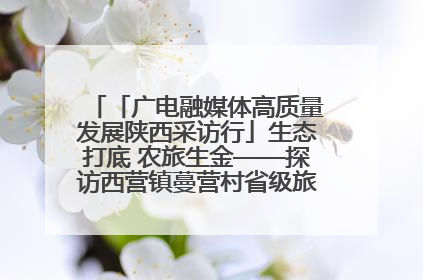 「广电融媒体高质量发展陕西采访行」生态打底 农旅生金——探访西营镇蔓营村省级旅游示范村的振兴密码
