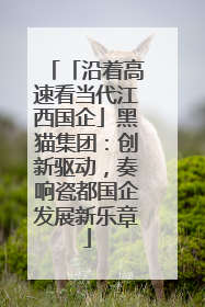 「沿着高速看当代江西国企」黑猫集团：创新驱动，奏响瓷都国企发展新乐章