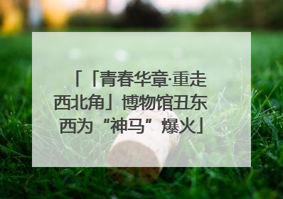 「青春华章·重走西北角」博物馆丑东西为“神马”爆火