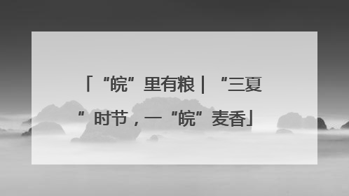 “皖”里有粮｜“三夏”时节，一“皖”麦香