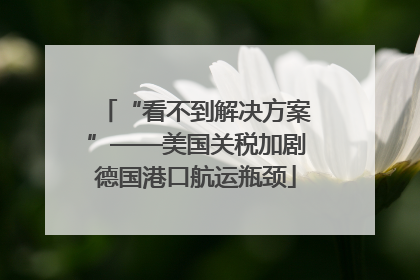 “看不到解决方案”——美国关税加剧德国港口航运瓶颈