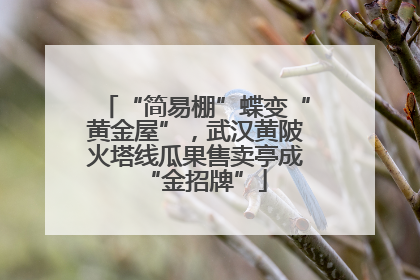 “简易棚”蝶变“黄金屋”，武汉黄陂火塔线瓜果售卖亭成“金招牌”
