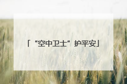 “空中卫士”护平安