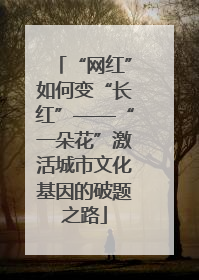 “网红”如何变“长红”——“一朵花”激活城市文化基因的破题之路