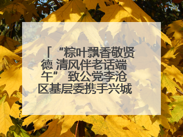 “粽叶飘香敬贤德 清风伴老话端午” 致公党李沧区基层委携手兴城路街道四流北路社区开展端午节主题活动