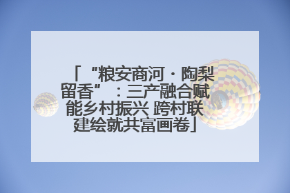 “粮安商河・陶梨留香”：三产融合赋能乡村振兴 跨村联建绘就共富画卷