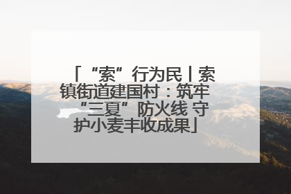 “索”行为民丨索镇街道建国村：筑牢“三夏”防火线 守护小麦丰收成果
