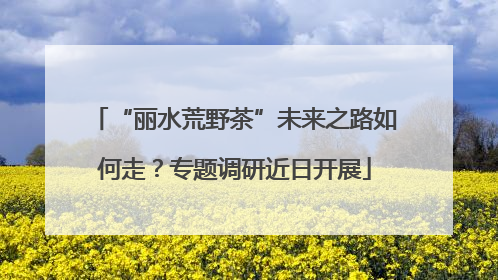 “丽水荒野茶”未来之路如何走？专题调研近日开展