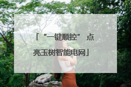 “一键顺控” 点亮玉树智能电网