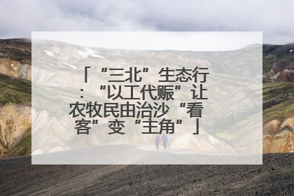 “三北”生态行：“以工代赈”让农牧民由治沙“看客”变“主角”