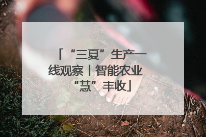 “三夏”生产一线观察丨智能农业“慧”丰收