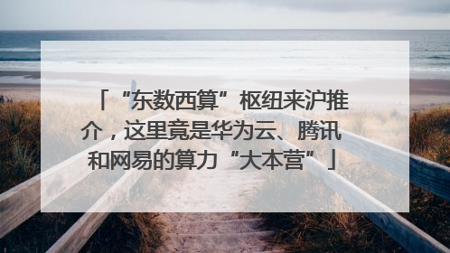“东数西算”枢纽来沪推介，这里竟是华为云、腾讯和网易的算力“大本营”