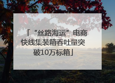 “丝路海运”电商快线集装箱吞吐量突破10万标箱