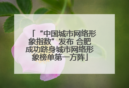 “中国城市网络形象指数”发布 合肥成功跻身城市网络形象榜单第一方阵