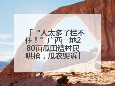 “人太多了拦不住！”广西一地280亩瓜田遭村民哄抢，瓜农哭诉