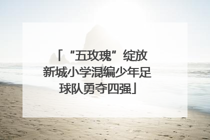 “五玫瑰”绽放 新城小学混编少年足球队勇夺四强