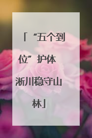 “五个到位”护体 淅川稳守山林