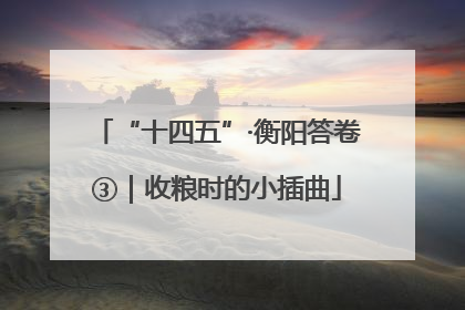 “十四五”·衡阳答卷③｜收粮时的小插曲