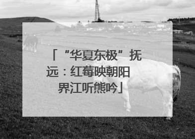 “华夏东极”抚远：红莓映朝阳 界江听熊吟
