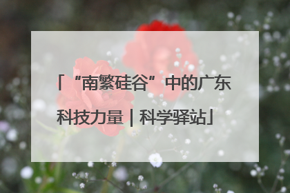 “南繁硅谷”中的广东科技力量｜科学驿站