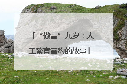 “傲雪”九岁：人工繁育雪豹的故事