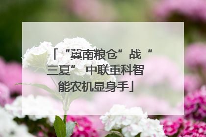 “冀南粮仓”战“三夏” 中联重科智能农机显身手