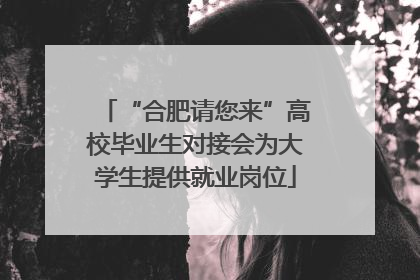 “合肥请您来”高校毕业生对接会为大学生提供就业岗位