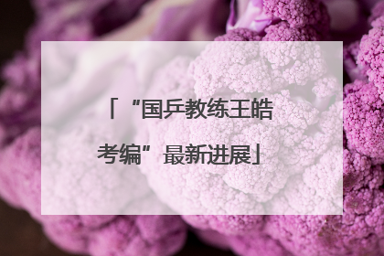 “国乒教练王皓考编”最新进展