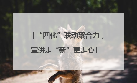 “四化”联动聚合力，宣讲走“新”更走心