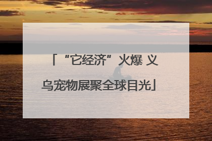 “它经济”火爆 义乌宠物展聚全球目光