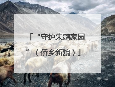 “守护朱鹮家园”（侨乡新貌）
