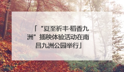 “夏至祈丰·稻香九洲”插秧体验活动在南昌九洲公园举行