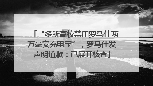 “多所高校禁用罗马仕两万毫安充电宝”，罗马仕发声明道歉：已展开核查