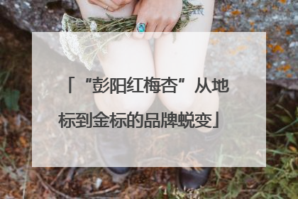 “彭阳红梅杏”从地标到金标的品牌蜕变