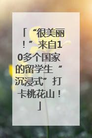 “很美丽！”来自10多个国家的留学生“沉浸式”打卡桃花山！