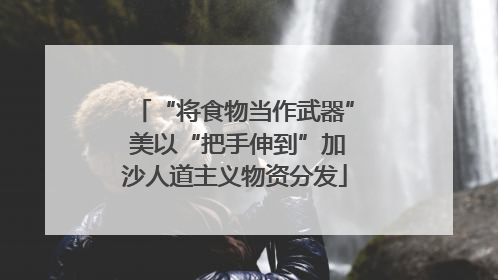 “将食物当作武器” 美以“把手伸到”加沙人道主义物资分发