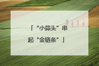 “小蒜头”串起“金链条”