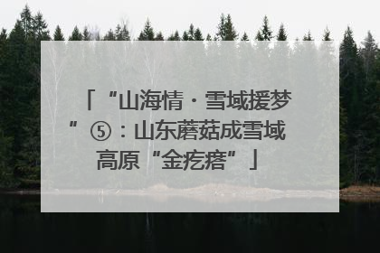 “山海情・雪域援梦”⑤：山东蘑菇成雪域高原“金疙瘩”