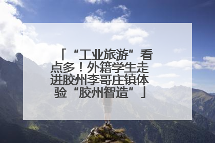 “工业旅游”看点多！外籍学生走进胶州李哥庄镇体验“胶州智造”