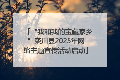 “我和我的宝藏家乡”栾川县2025年网络主题宣传活动启动