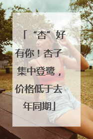 “杏”好有你！杏子集中登鹭，价格低于去年同期