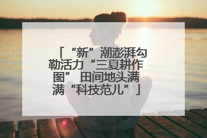 “新”潮澎湃勾勒活力“三夏耕作图” 田间地头满满“科技范儿”