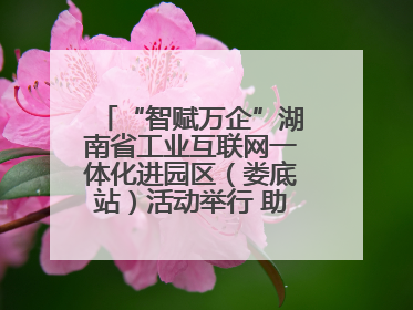 “智赋万企”湖南省工业互联网一体化进园区（娄底站）活动举行 助推农机装备产业高质量发展
