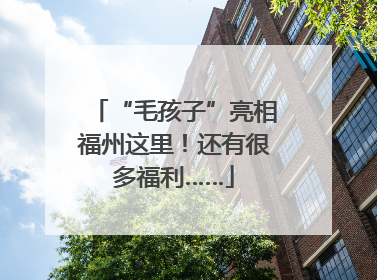 “毛孩子”亮相福州这里！还有很多福利……